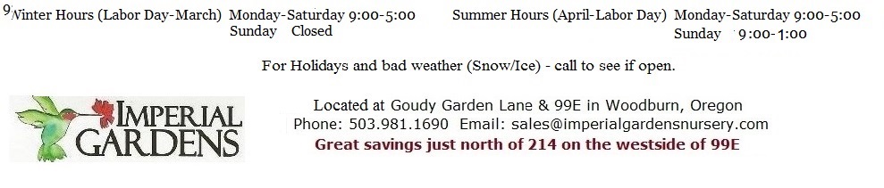 Imperial Gardens Nursery has a huge selection of summer garden plants on sale now! Many plants and flowers at one dollar each, large Tomato Plants only $1.50 each.  We're open every day at Goudy Garden Lane & 99E in Woodburn.  Hours: Monday through Saturday 9am to 5pm and Sunday 10am to 4pm.  Call us at 503.981.1690 or email us at: sales@imperialgardensnursery.com.  Great Savings Just North of 214 on the westside of 99E Woodburn.  We are Woodburn Nursery, Woodburn Oregon Nursery, North of Salem Oregon, South of Portland Oregon, Canby Oregon, East of St. Paul Oregon, Just north of Al's Nursery.  We have Landscape Supplies, bark dust, Bark, soils, landscape rock, decorative rock,  trees, schrubs, Japanese maples, flowers, baskets, Veggies,Vegetables, Plants,  palms, Agaves, Yucca, Banana, Grasses, Bamboo, Pond supplies.  Christmas isn't complete without a Christmas Tree from Imperial Gardens Nursery Inc.